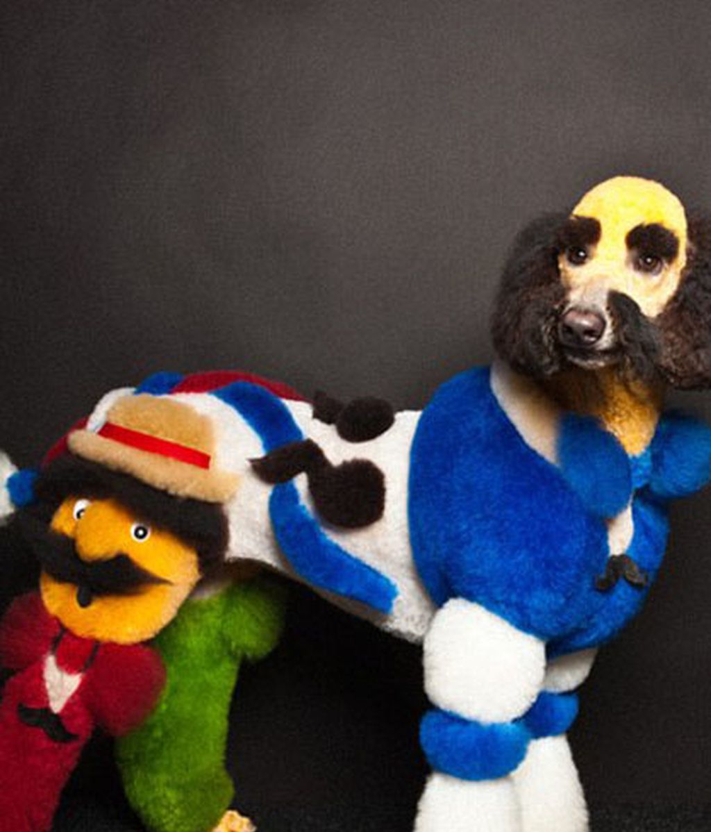 Creatividad desatada: Perros con transformaciones extremas