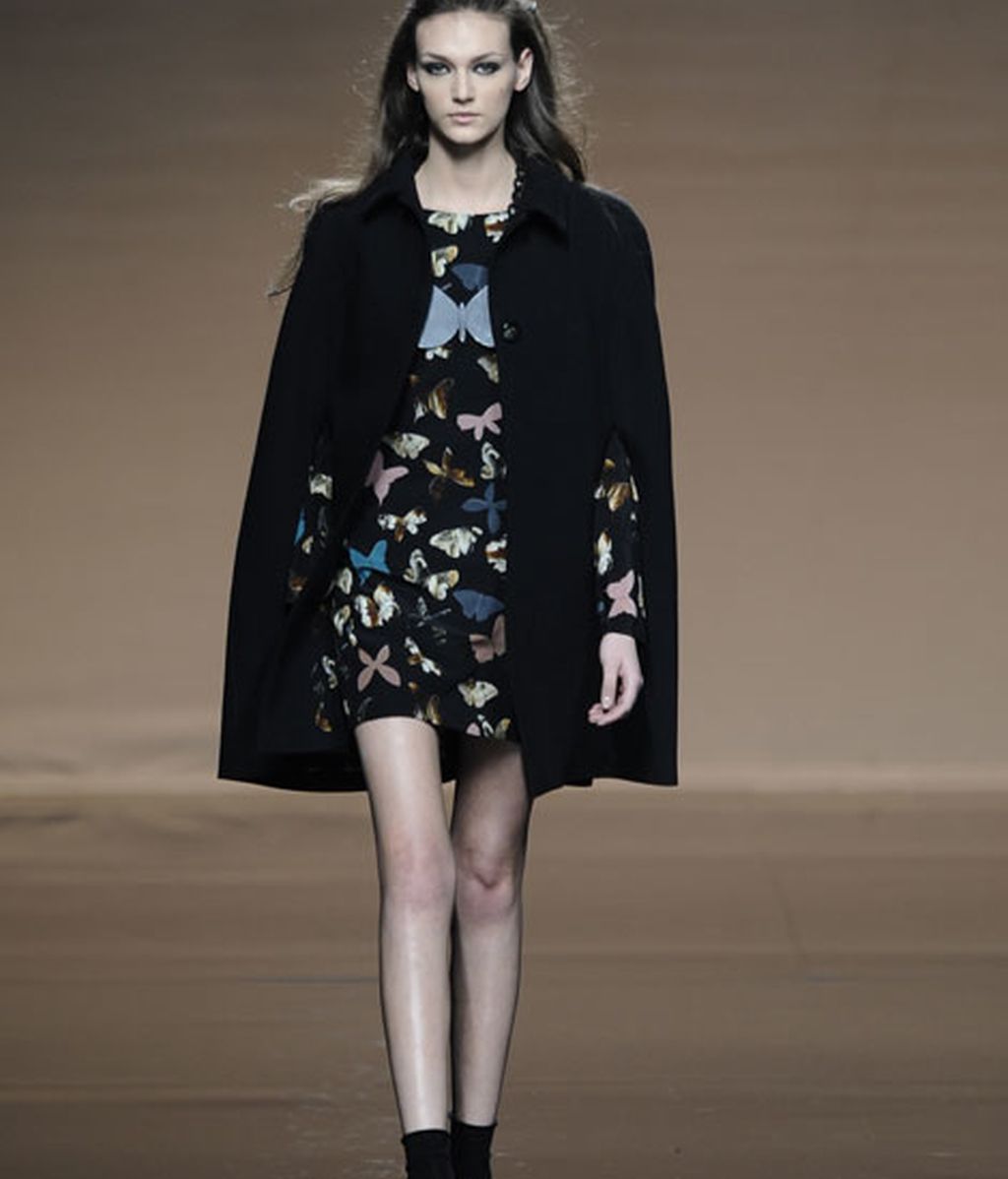 Ailanto: flores y mariposas en otoño