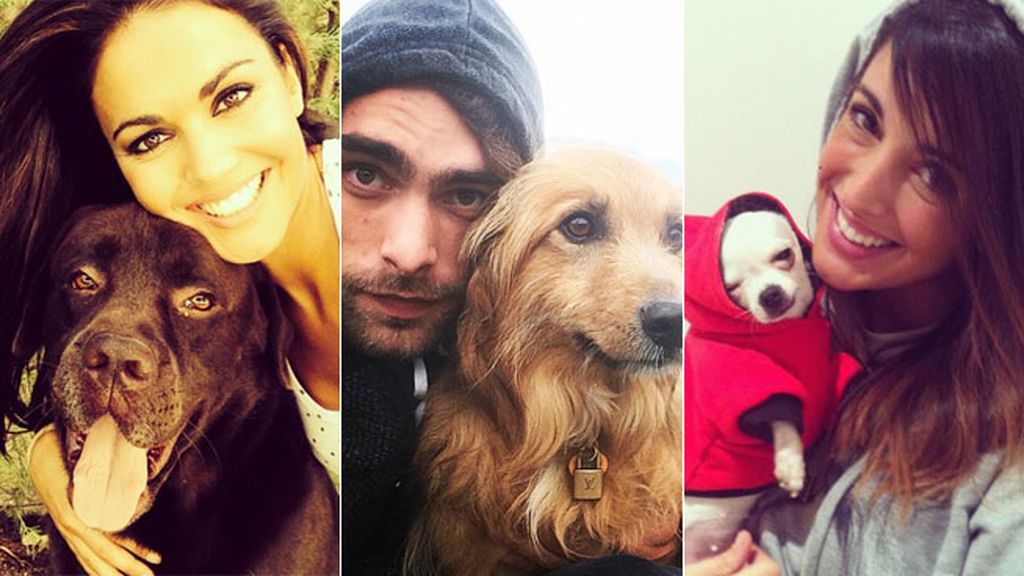Desayunos, niños, perros... Diez fotos que debes colgar si quieres ser una celebrity