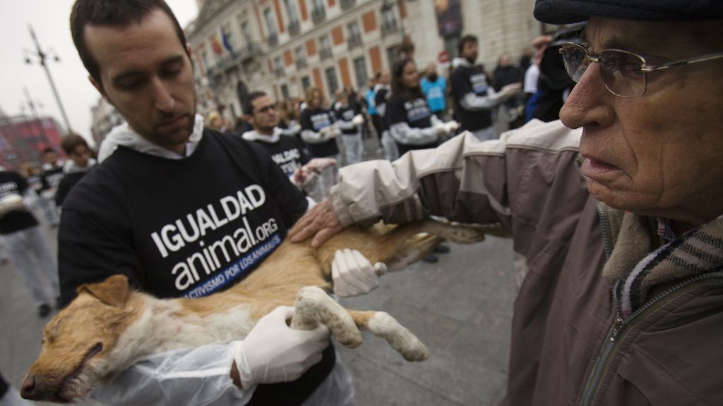 Protestas en pro de los animales en la Puerta del Sol