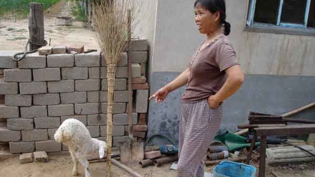 La oveja china con dos patas