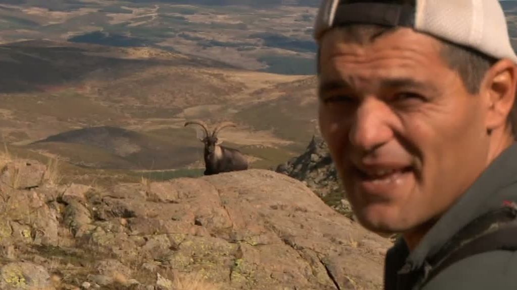 La cabra montesa y el buitre leonado despiden 'La selva en casa'