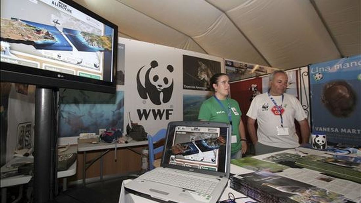 La asociación de defensa del medio ambiente WWF dedica su participación en la II Feria Internacional de Aves de Tarifa, que se celebra hasta mañana en la localidad gaditana, a su proyecto 'El viaje del alimoche'. El seguimiento abarca desde la salida del monte de la Vega (Segovia) hasta la franja del Sahel, en el Sahara, donde las aves permanecerán durante el invierno. Los alimoches cubren así cerca de 3.000 kilómetros y llegan a volar a alturas de 2.000 metros. EFE La asociación de defensa del medio ambiente WWF dedica su participación en la II Feria Internacional de Aves de Tarifa, que se celebra hasta mañana en la localidad gaditana, a su proyecto 'El viaje del alimoche'. El seguimiento abarca desde la salida del monte de la Vega (Segovia) hasta la franja del Sahel, en el Sahara, donde las aves permanecerán durante el invierno. Los alimoches cubren así cerca de 3.000 kilómetros y llegan a volar a alturas de 2.000 metros. EFE
