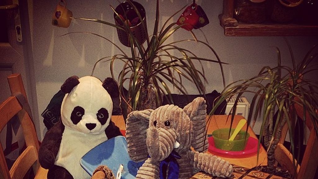 Crea espectaculares desayunos con peluches para el disfrute de sus hijos adoptivos