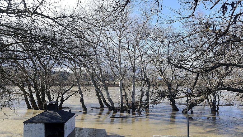 Se mantiene la preemergencia en la ribera del Ebro y se espera un caudal de 2.100 m3/seg