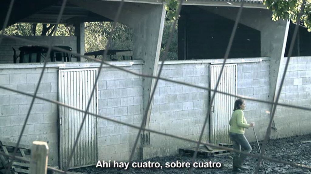 Oleada de ganado mutilado en Dozon