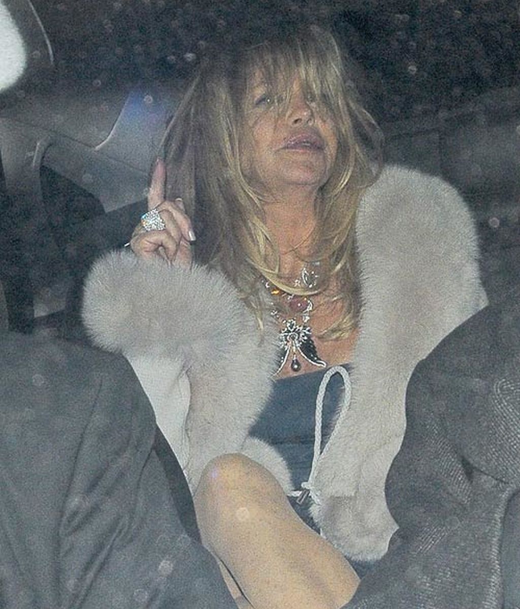 Goldie Hawn: Esta noche hay una... cena benéfica, vayamos todos a la cena benéfica