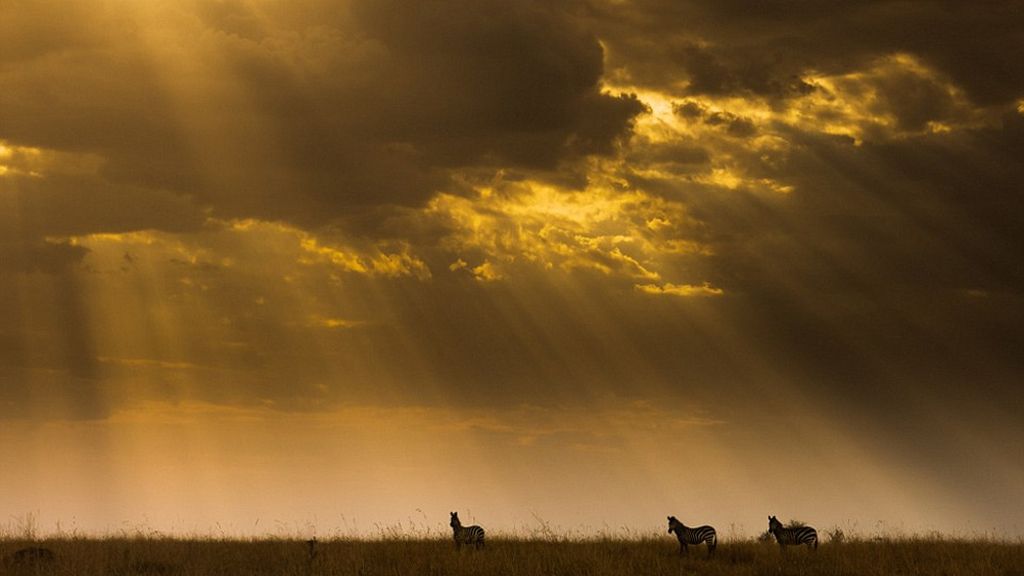 Las increíbles fotos presentadas a los premios Sony World Photography 2016