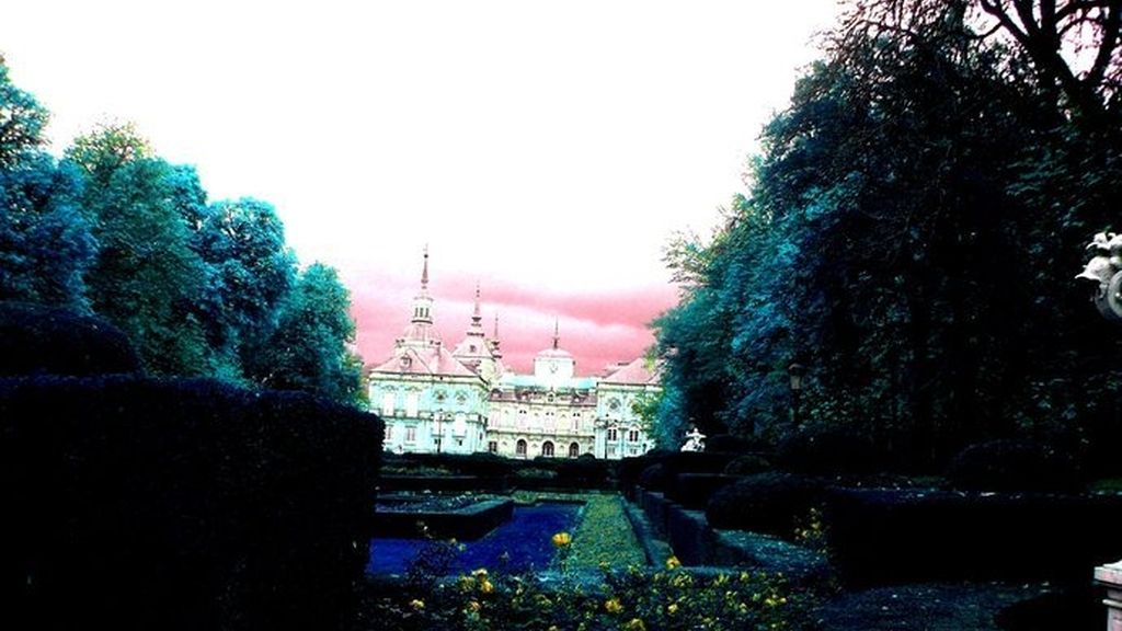 Concusantes Efecto ¡GUAU!... en vacaciones