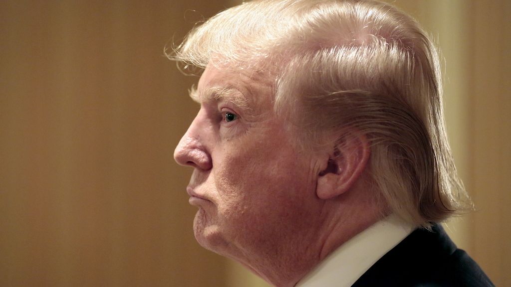 Artículo peluquín Trump