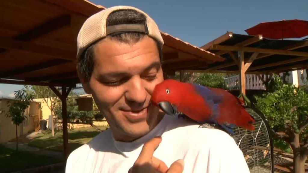 La cabra montesa y el buitre leonado despiden 'La selva en casa'