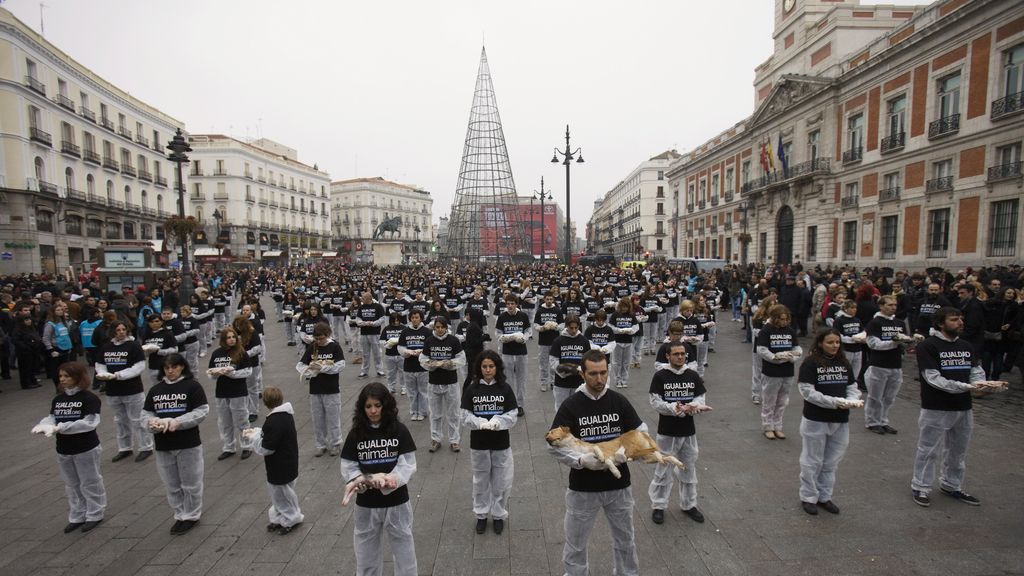 Protestas en pro de los animales en la Puerta del Sol