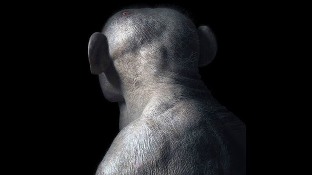 'Más que humano'