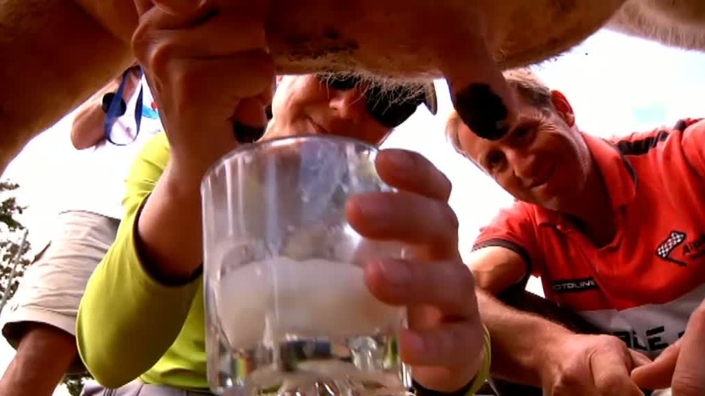 La selva en casa, Programa 4