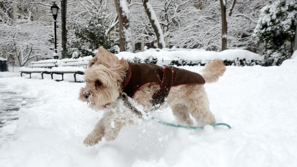 La supertormenta Nemo