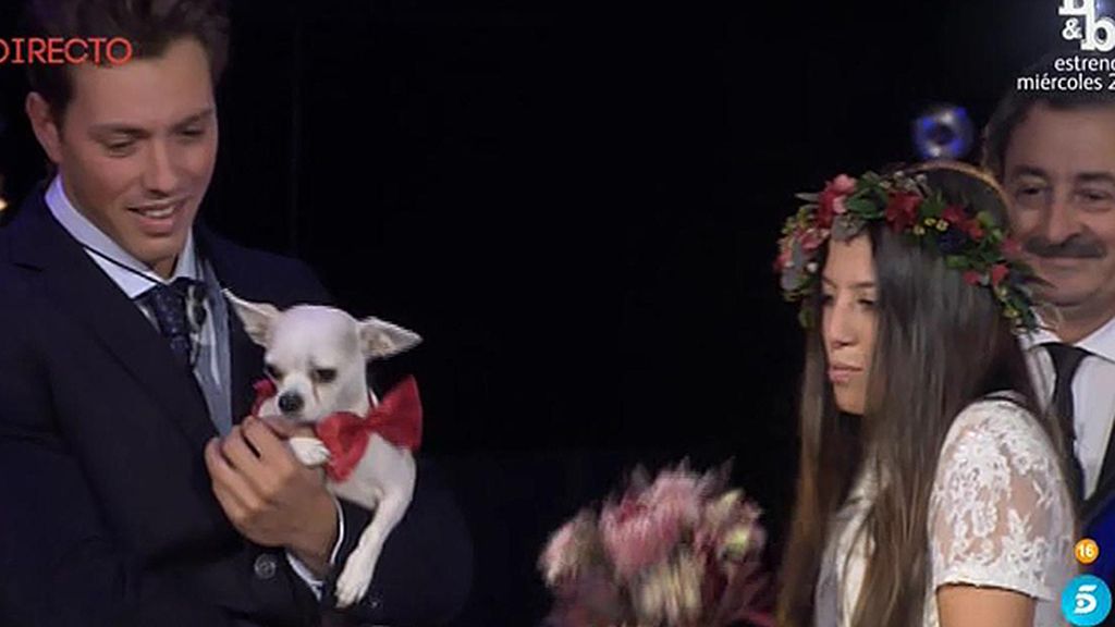 La boda de Carlos e Ivy, en imágenes