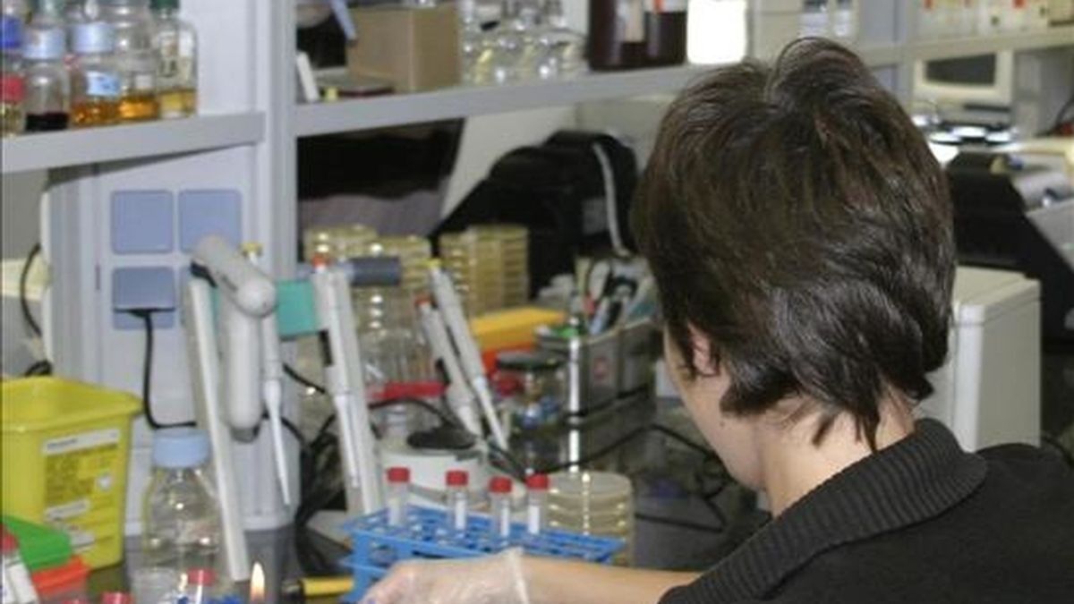 Una investigadora trabaja en un laboratorio. EFE/Archivo