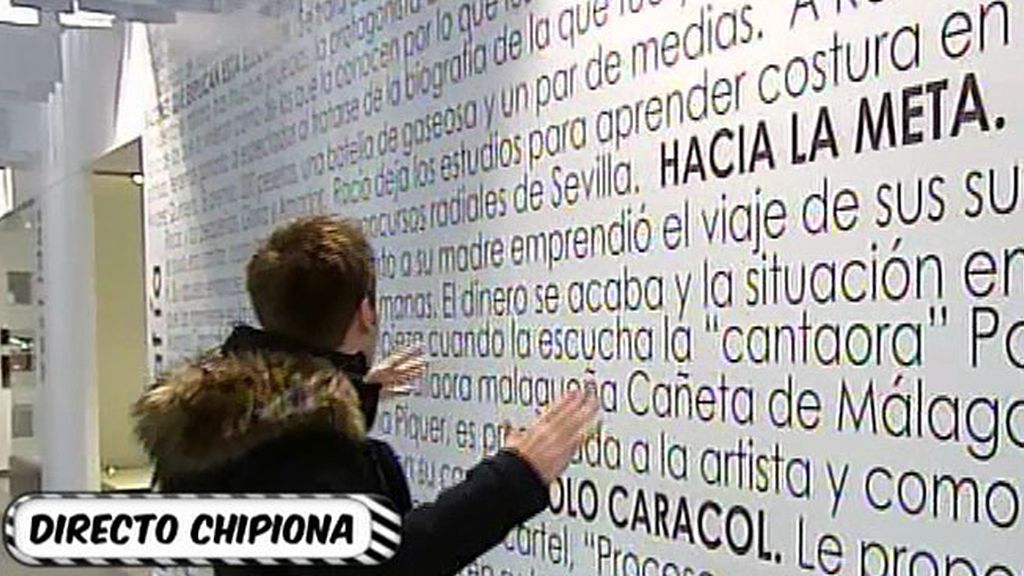 La biografía de la cantante, escrita en una inmesa pared