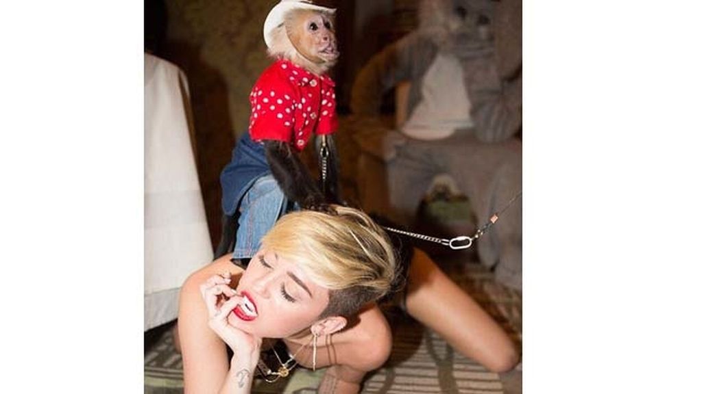 Las últimas excentricidades de Miley en su Twitter