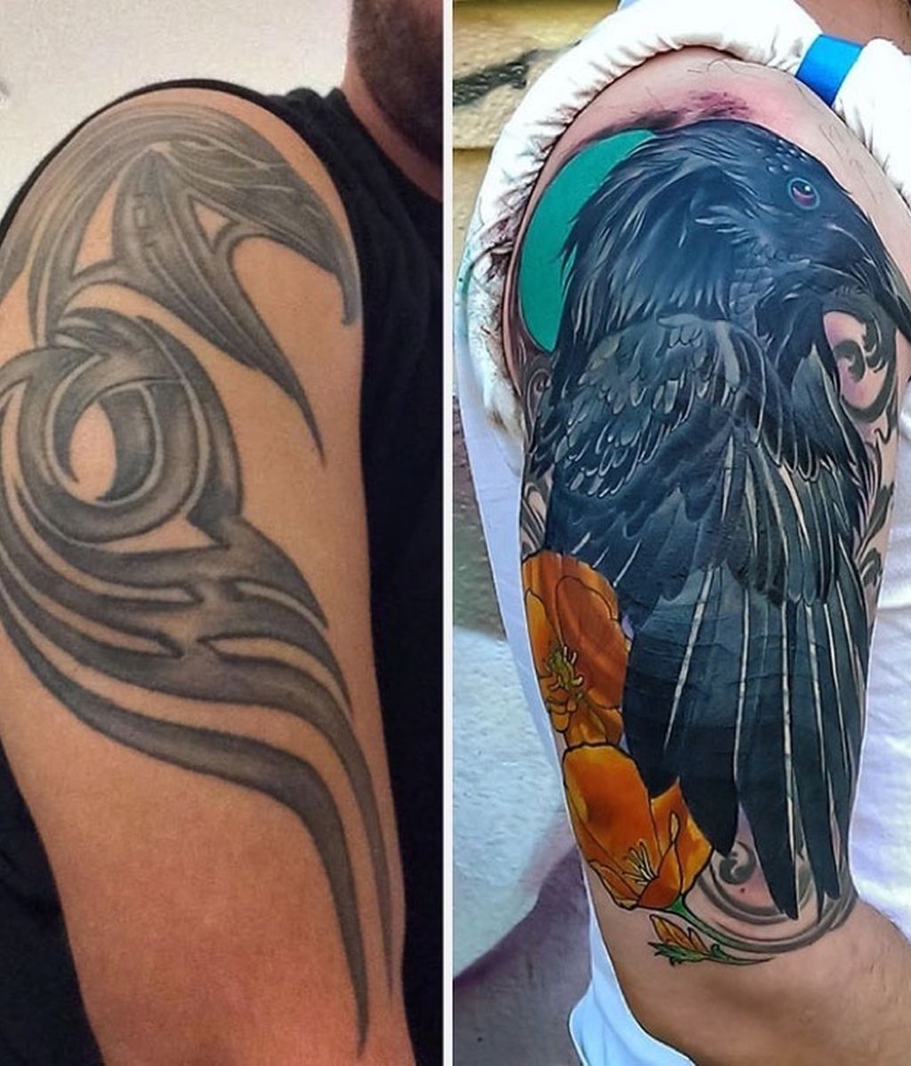 La evolución del ave