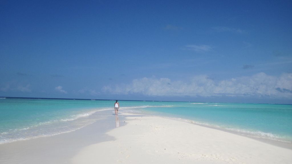 Concusantes Efecto ¡GUAU!... en vacaciones