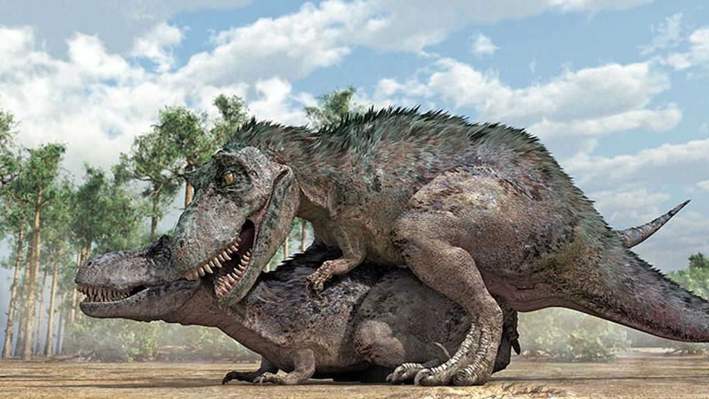 Los dinosaurios se acoplaban como muchas otras especies en las que el macho monto a la hembra por la espalda.