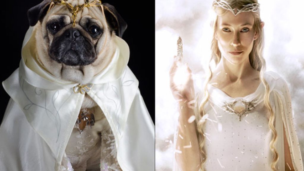 Pugs Carlinos disfrazados