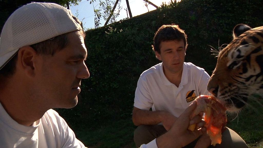 Frank Cuesta recorre España buscando selvas dentro de casas