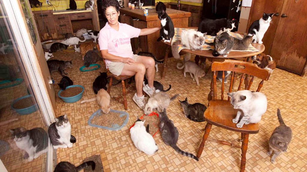 'The Lady with 700 Cats'
