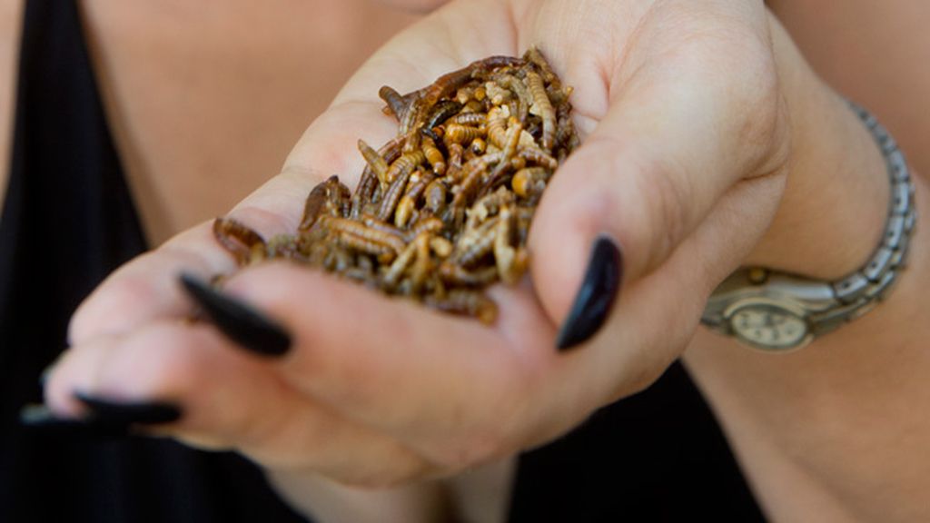 Los más arriesgados pueden degustar numerosos platos