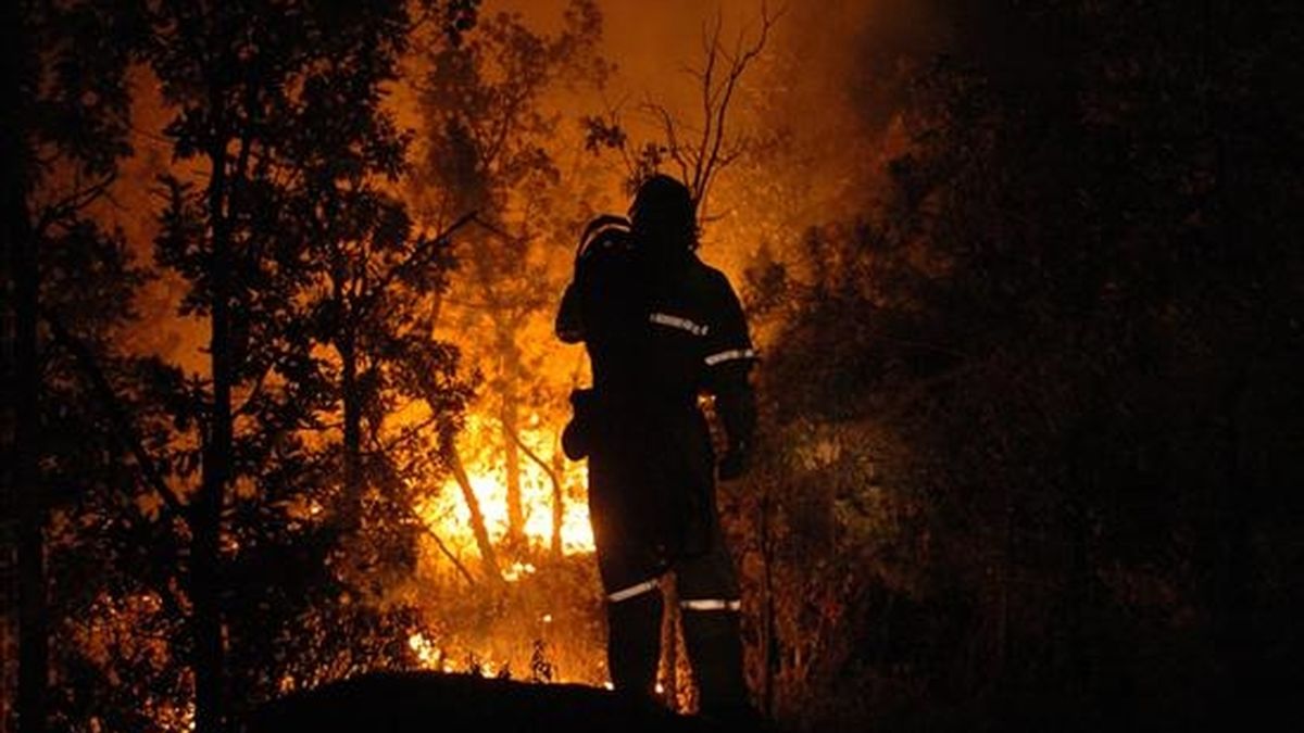 Las familias de la mayoría de las once víctimas del incendio de Guadalajara de 2005 piden el procesamiento para dieciocho de los veinte imputados, entre ellos cuatro ex-altos cargos de la Junta y tres excursionistas, para quienes se aprecian penas superiores al anterior escrito, mientras que se mantienen las de los técnicos. EFE/Archivo