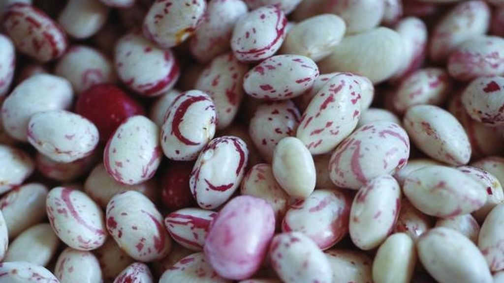Habas, lentejas y otras legumbres
