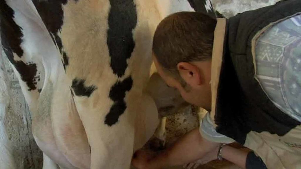 Yésica y Teresa, dos ganjeras en apuros