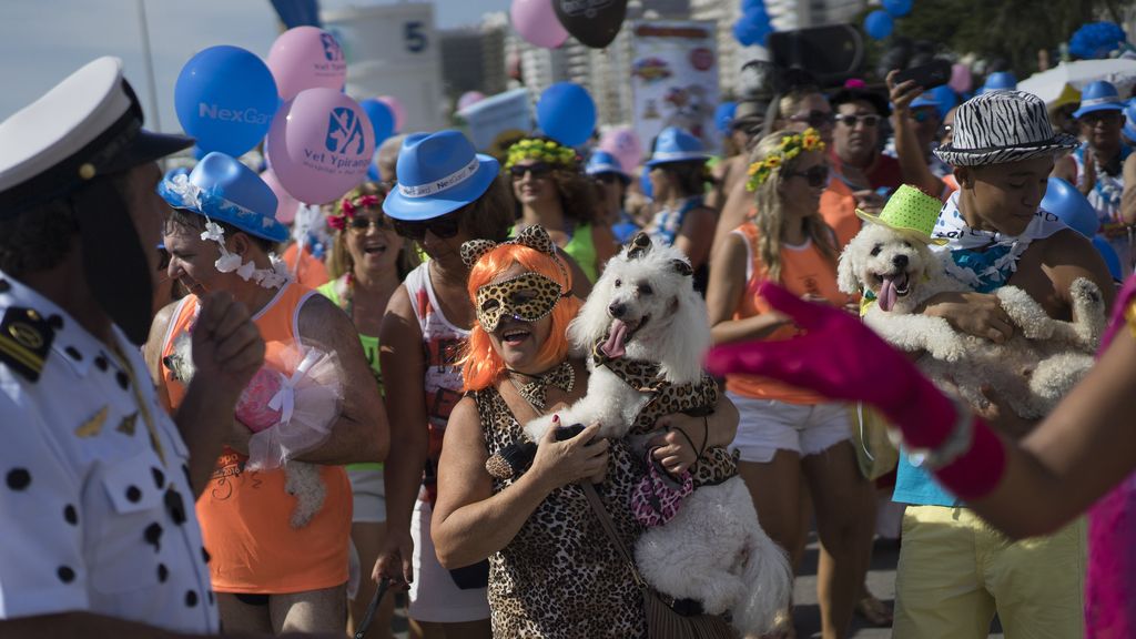 Las mascotas brasileñas también disfrutan de su carnaval