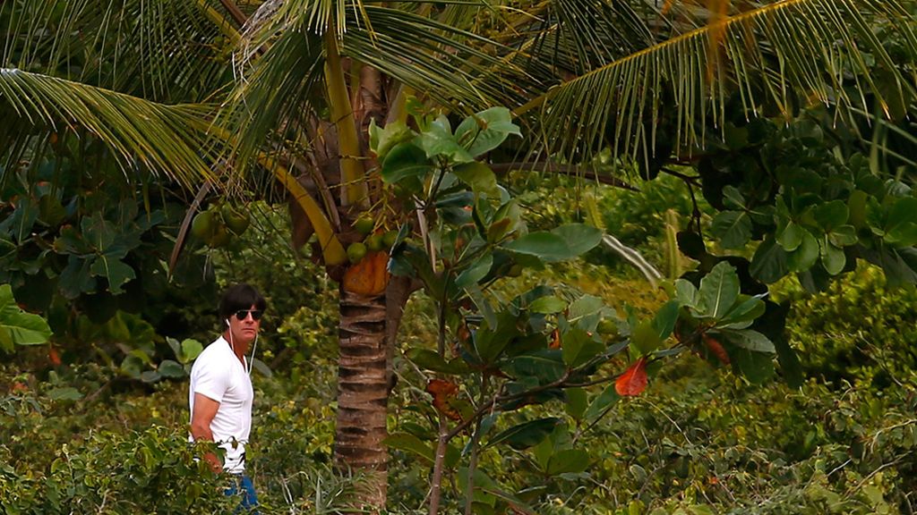 Miércoles, 9 de julio: El depredador vuelve a ocultarse a la espera de otra presa