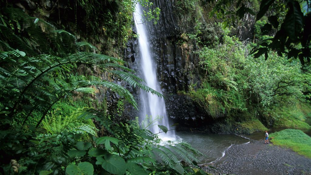 Cataratas Viharuu, en Tahití
