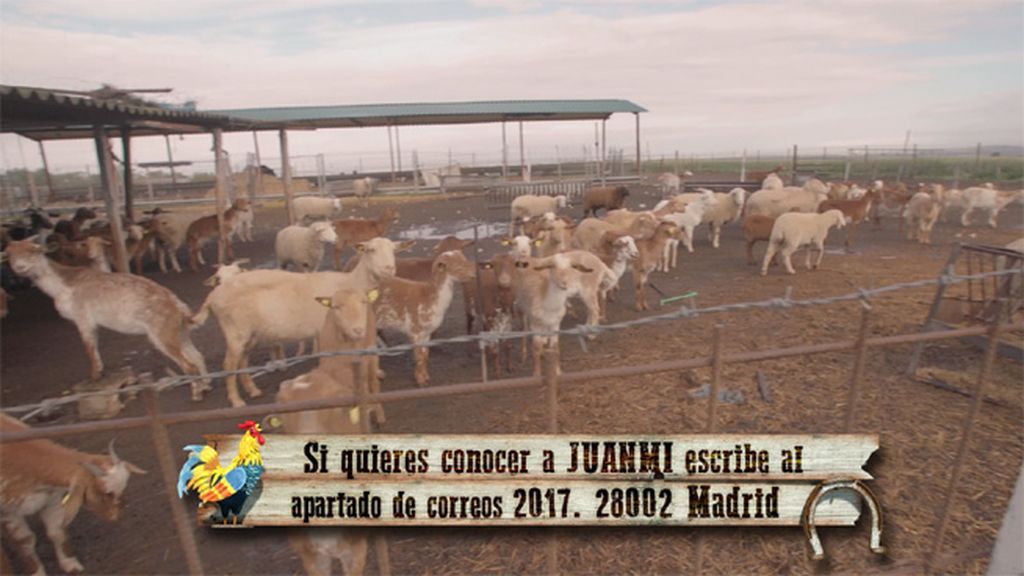 Apasionado de las cabras, quiere un amor para toda la vida