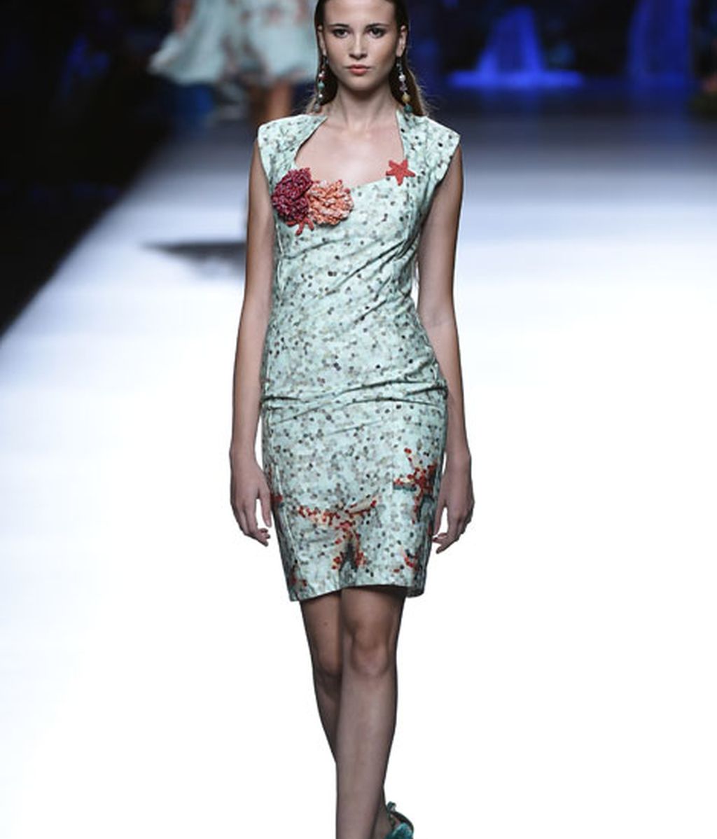 Corales, estrellas y esponjas de mar