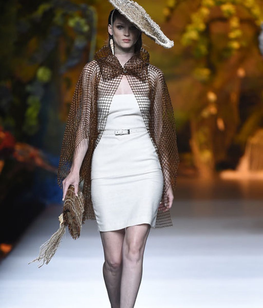 Corales, estrellas y esponjas de mar