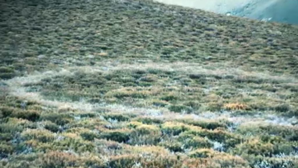 Las mejores imágenes del programa