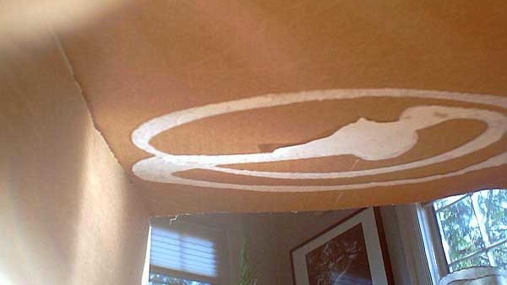 Jugando dentro de una caja