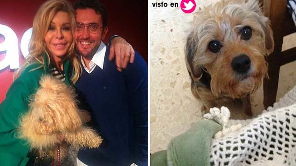 El caniche de Bibiana y la presumida Leocadia de Maxim