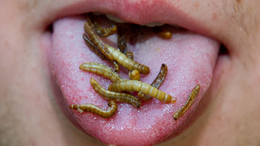 Los más arriesgados pueden degustar numerosos platos