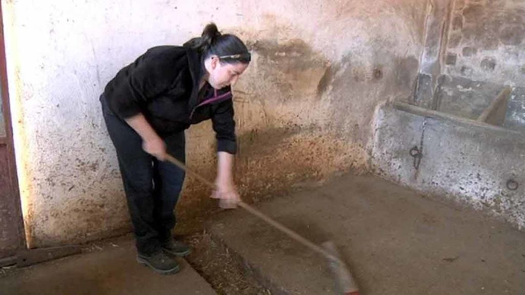 Yésica y Teresa, dos ganjeras en apuros