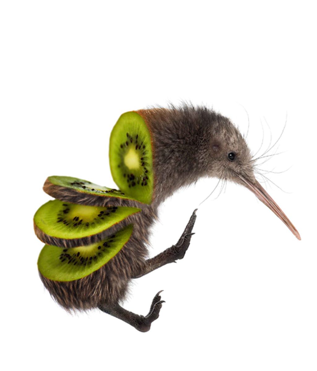 Animales convertidos en frutas y verduras
