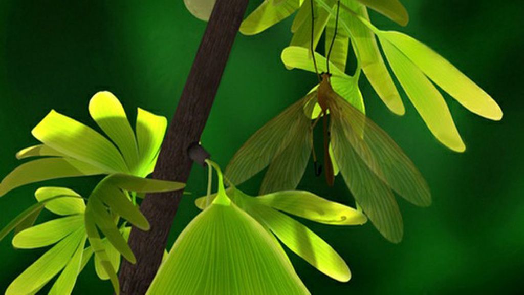 La mosca que sólo dejó el fósil