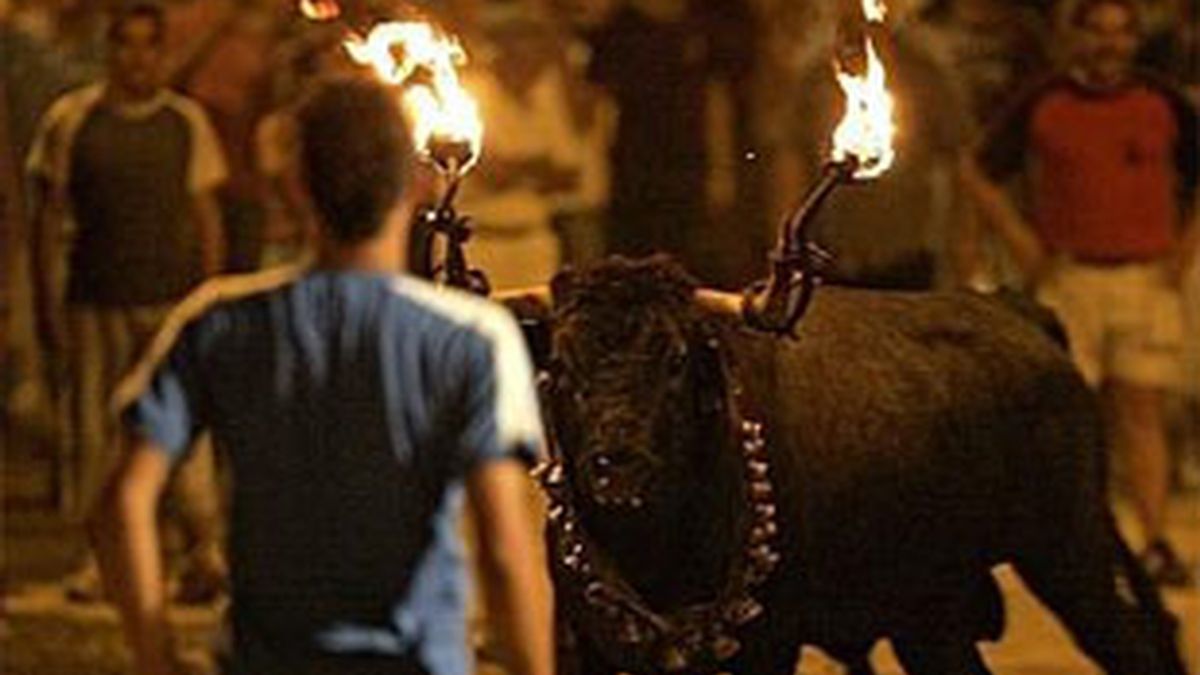 Los 'correbous' son muy tradicionales en Tarragona. Vídeo: Informativos Telecinco. Los 'correbous' son muy tradicionales en Tarragona. Vídeo: Informativos Telecinco.