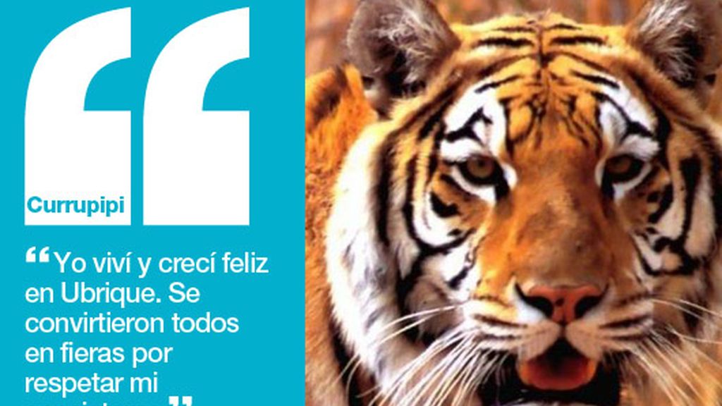 Ubrique... ¡Lo dice todo el mundo!