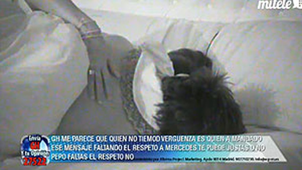 Tendrán que pasar toda la semana encadenados