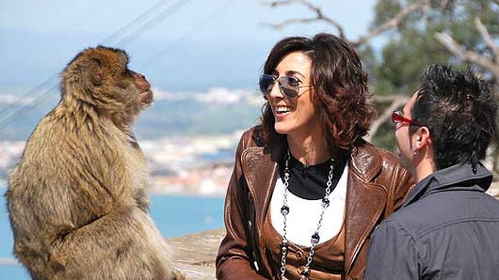 Británicos con deje andaluz